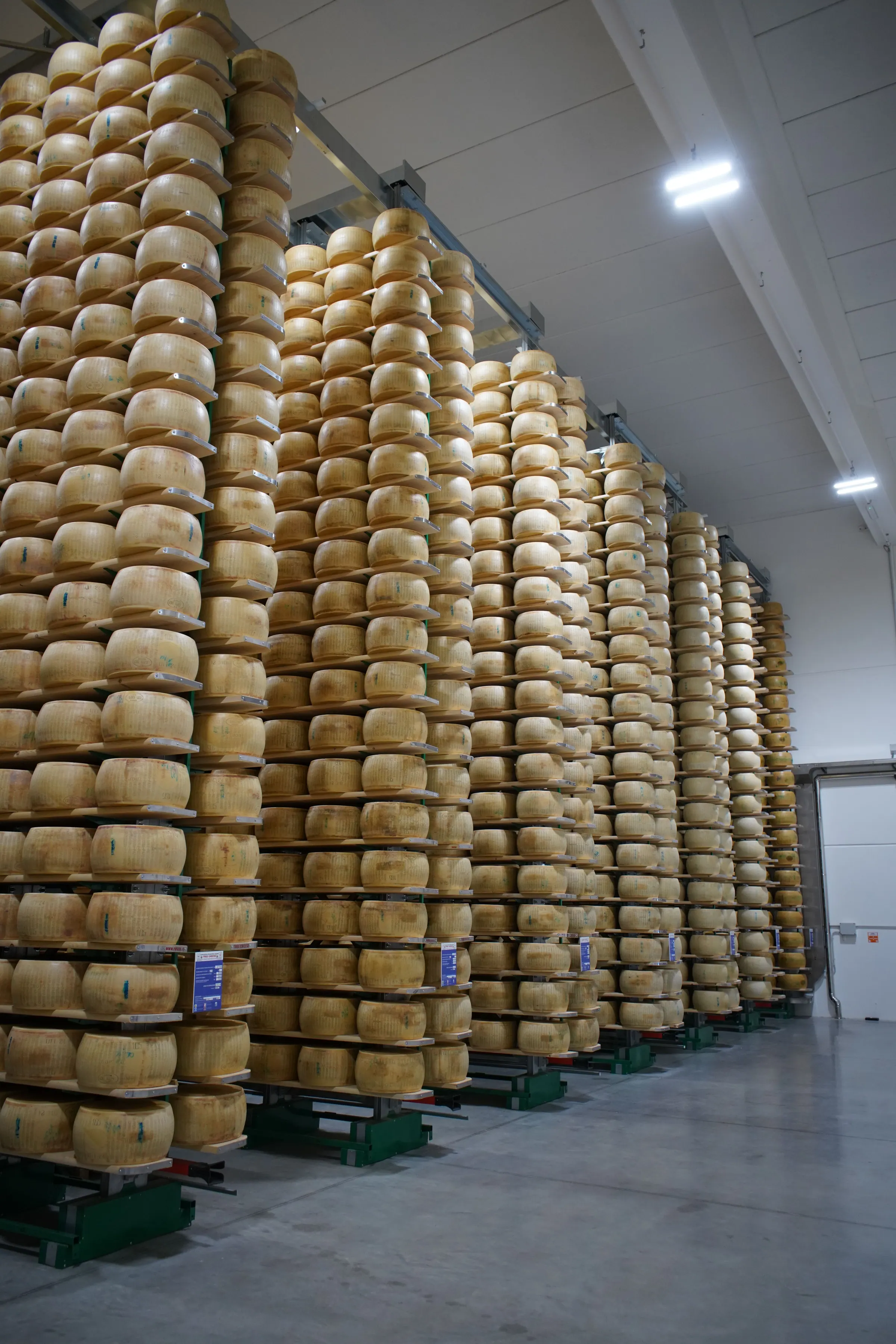 Reifelager mit tausenden Laiben Parmigiano Reggiano