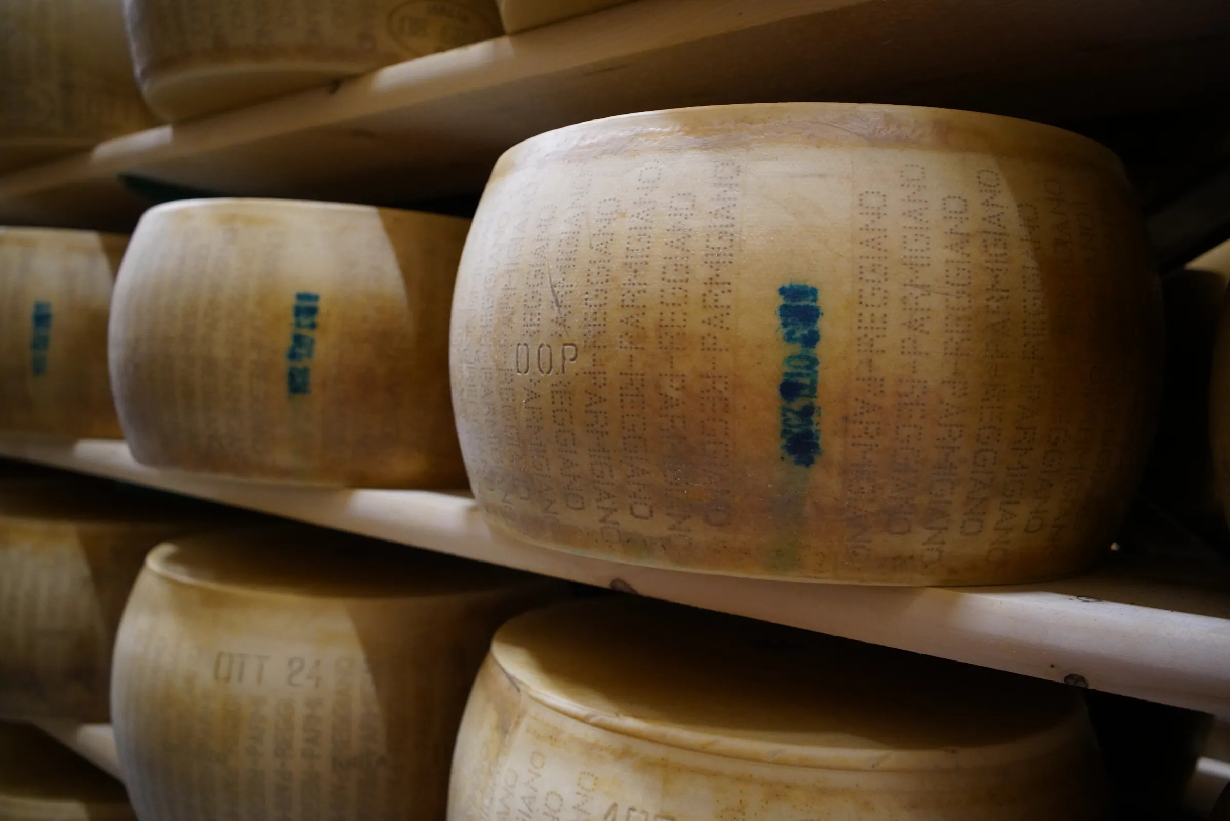 Detail eines Laibs Parmigiano Reggiano DOP