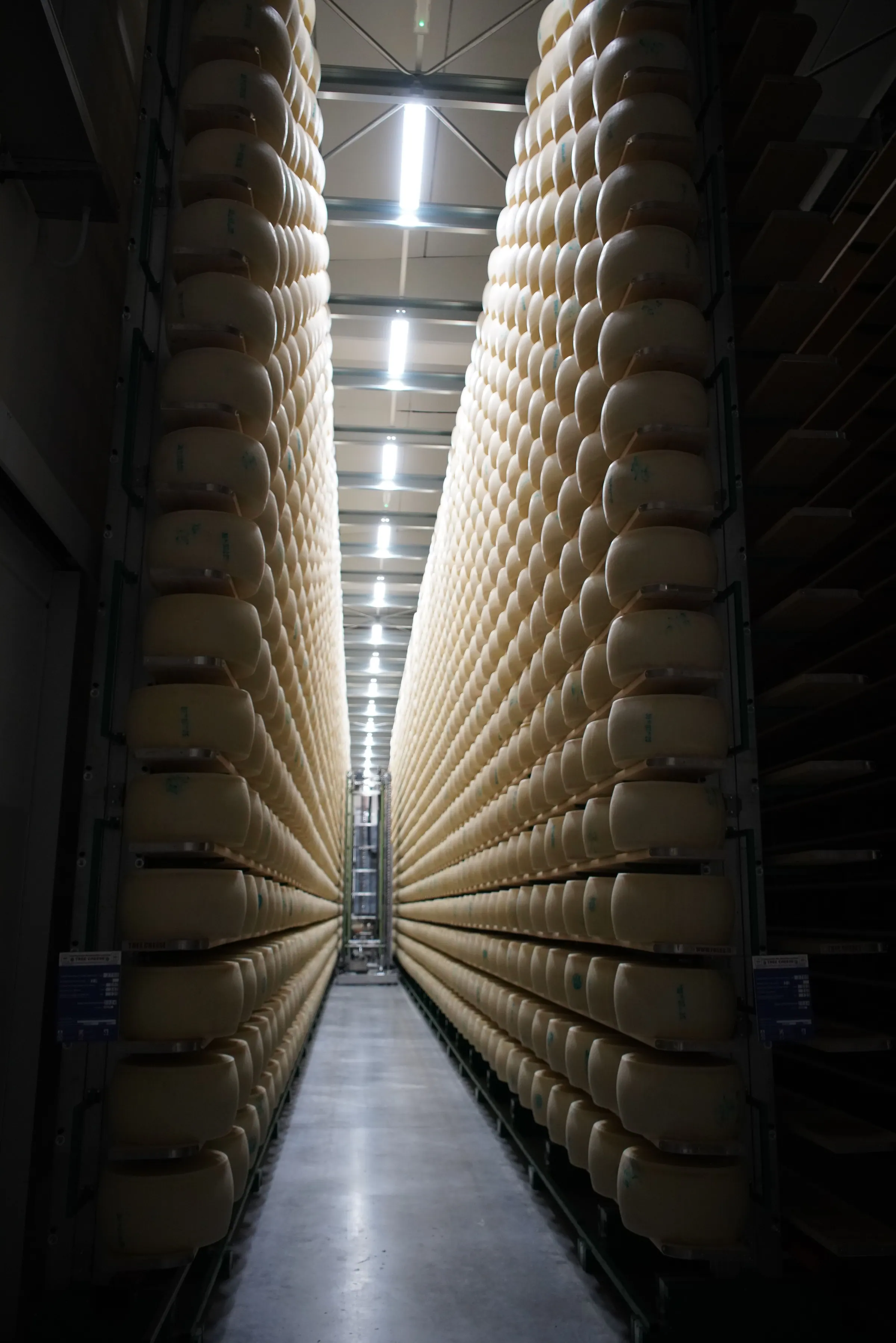 Reifung – Parmigiano Reggiano Herstellung in der Käserei